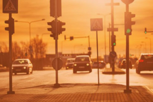 Exercer son droit de vote :  Comprendre, choisir et voter en autonomie