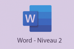 Word - Niveau avancé